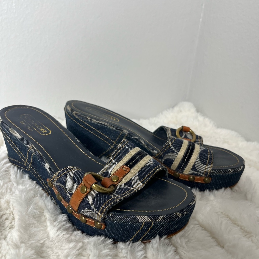 Coach Blue and Brown Wedge Sandals with Elegant Buckle - Picture 3 of 8